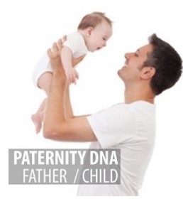 Paternity - Father/Child - Standard DNA Test