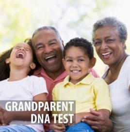 Grandpaternity - Standard DNA Test