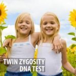 Twin Zygosity - Standard Test